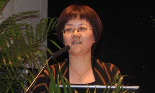 赢博互联总经理、首席规划师 郑爱军