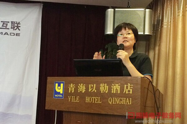 　赢博互联总经理、首席规划师郑爱军正在进行《政府网站+评估体系构建思路》的主题演讲