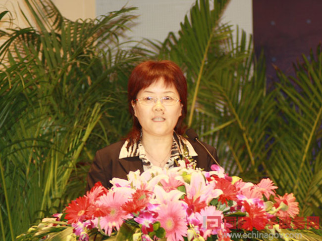 北京赢博互联信息顾问有限公司总经理、首席规划师郑爱军女士正在做《从电子政务到智慧政府：赢博的思考与实践》为题的主题发言