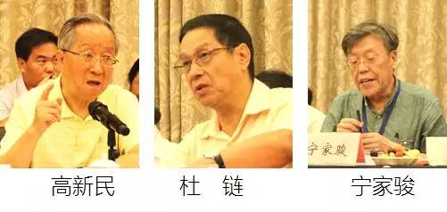 在中国智慧城市发展与评估指标体系建设专家研讨会上，中国互联网协会副理事长高新民、中国信息协会副会长杜链、国家信息中心电子政务专家委员会主任宁家骏发言